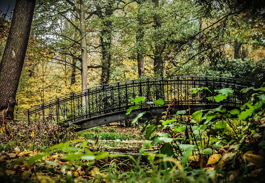 bridge, park, romantic, pond, water, scrubs, autumn, tree, foliage HD wallpaper