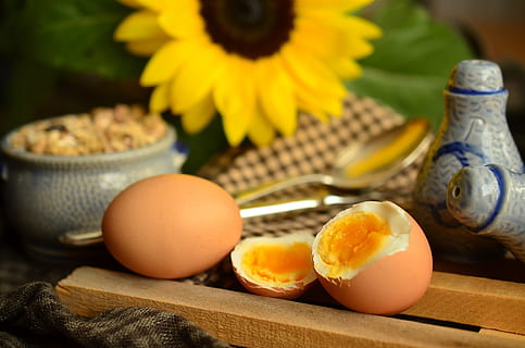 two brown hardboiled egg, yolk, breakfast egg, yellow, proteins HD wallpaper