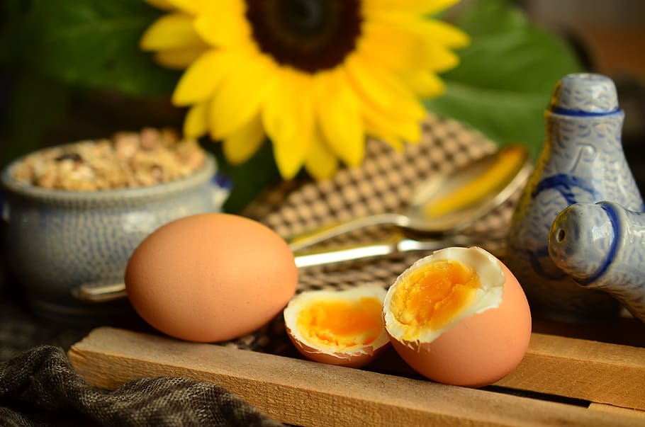 two brown hardboiled egg, yolk, breakfast egg, yellow, proteins HD wallpaper