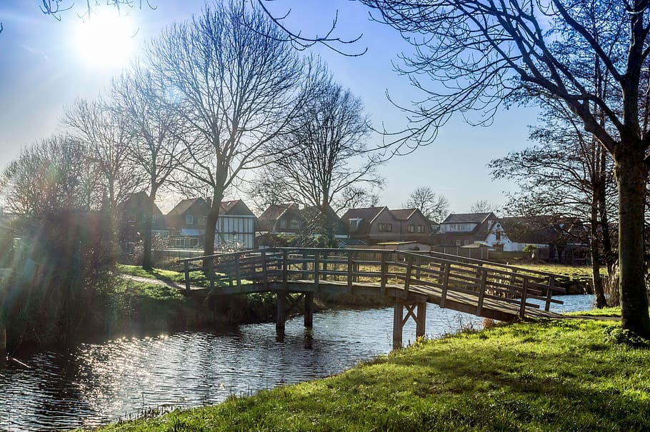 park, water, bridge, clouds, sun, sun rays, tree, built structure HD wallpaper