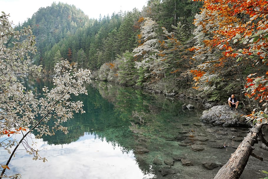 hintersteinersee lake, kitzbühel, austria, nature, idyllic