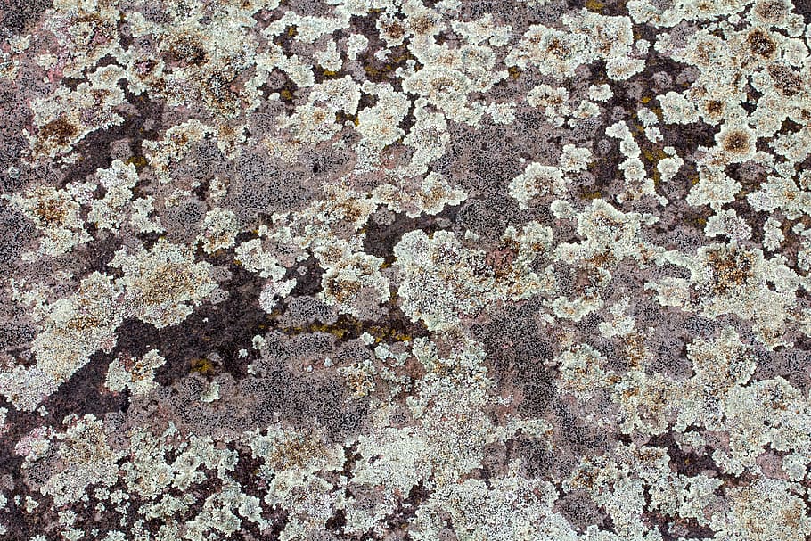 background, texture, wall, weave, structure, wattle, full frame HD wallpaper