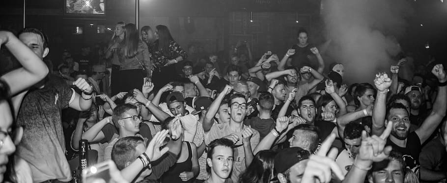 party, license, copyrighted, crowd, large group of people, music HD wallpaper
