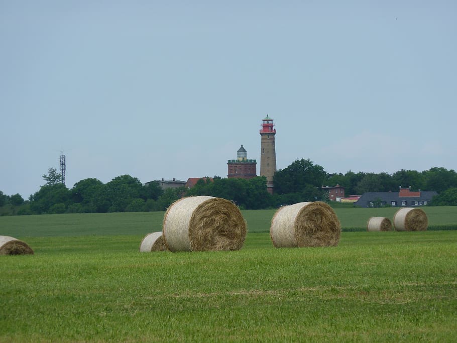 rügen, lighthouse, field, harvest, landscape, tower, blue sky, HD wallpaper