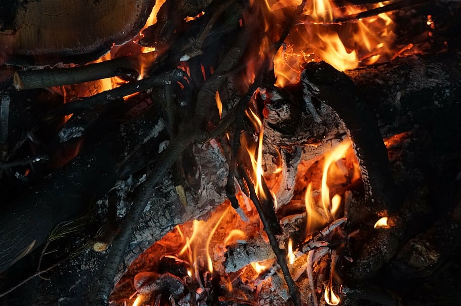 fire, camp, campfire, outdoor, flames, night, wood, summer HD wallpaper