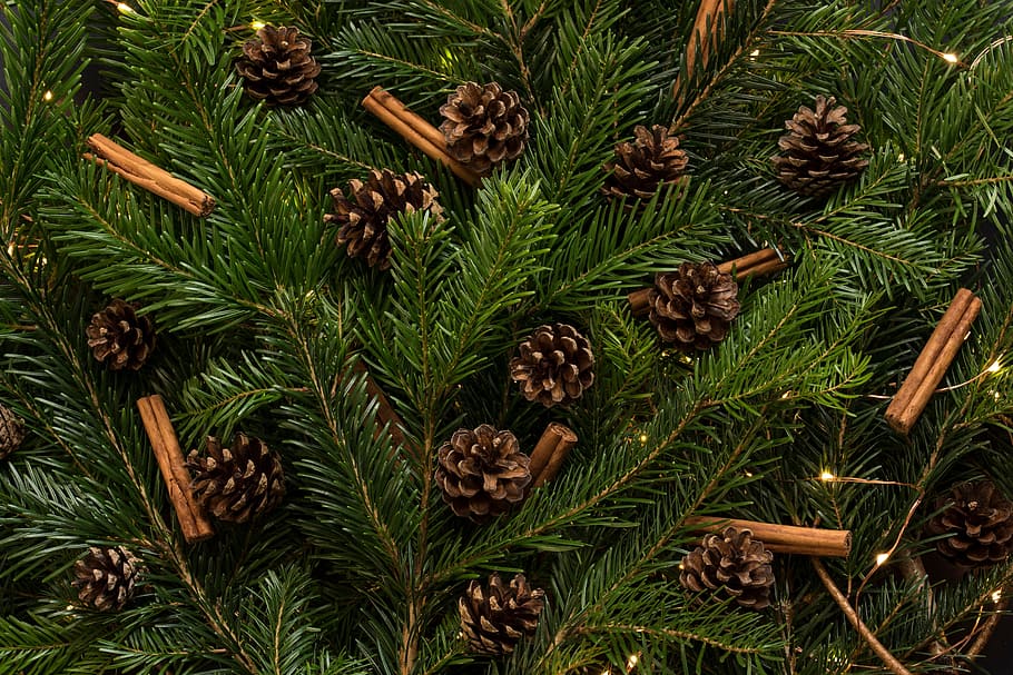 brown acorn ornament lot, christmas, tree, pine, cone, holiday HD wallpaper