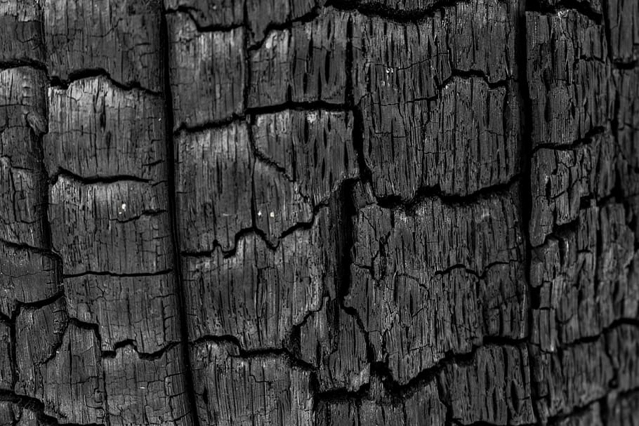 Coal, Charred, Tree, Pore, Crack, charred tree, black, backgrounds HD wallpaper