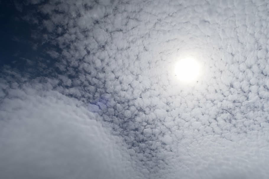 clouds, blue, sky, sun, white, clouds form, cirrocumulus, cloud - sky HD wallpaper