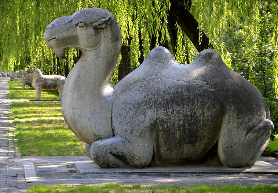 camel, china, green, marble, statue, sculpture, representation HD wallpaper