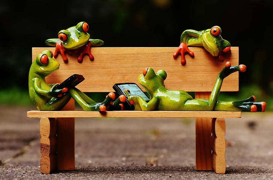 four green frog figurines on wooden bench miniature, frogs HD wallpaper
