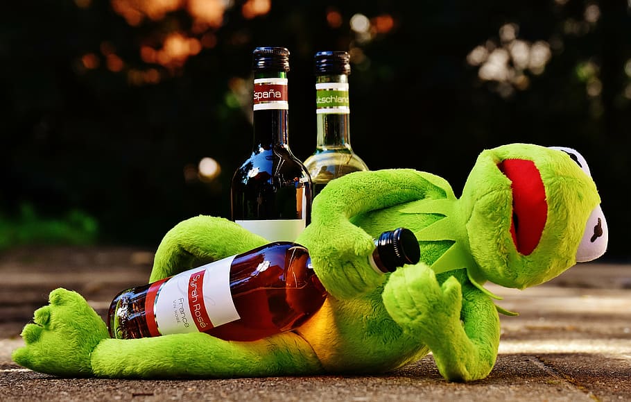 Kermit the frog holding wine bottle lying on ground, drink, alcohol