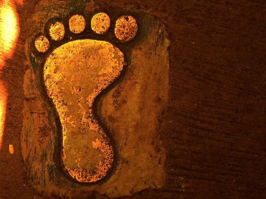 foot impression, big foot, goa, indoors, food, food and drink HD wallpaper