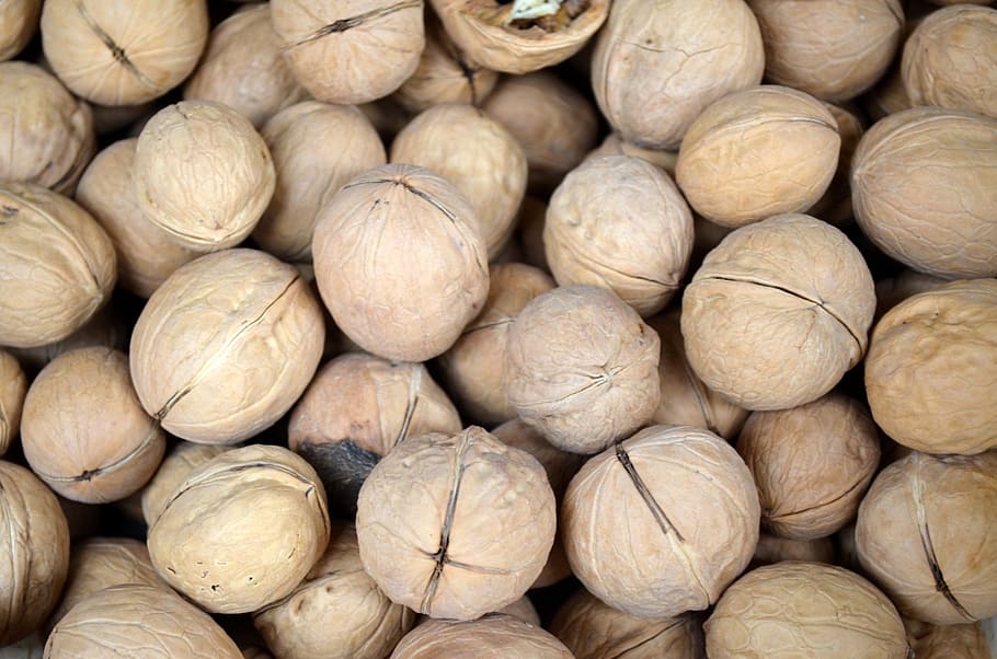 food, season, walnut, walnuts, nutmeat, seed, shell, kernel, HD wallpaper