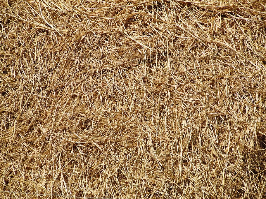 brown hay, Straw, Bale, Farm, Texture, textured, grass, agricultural, HD wallpaper
