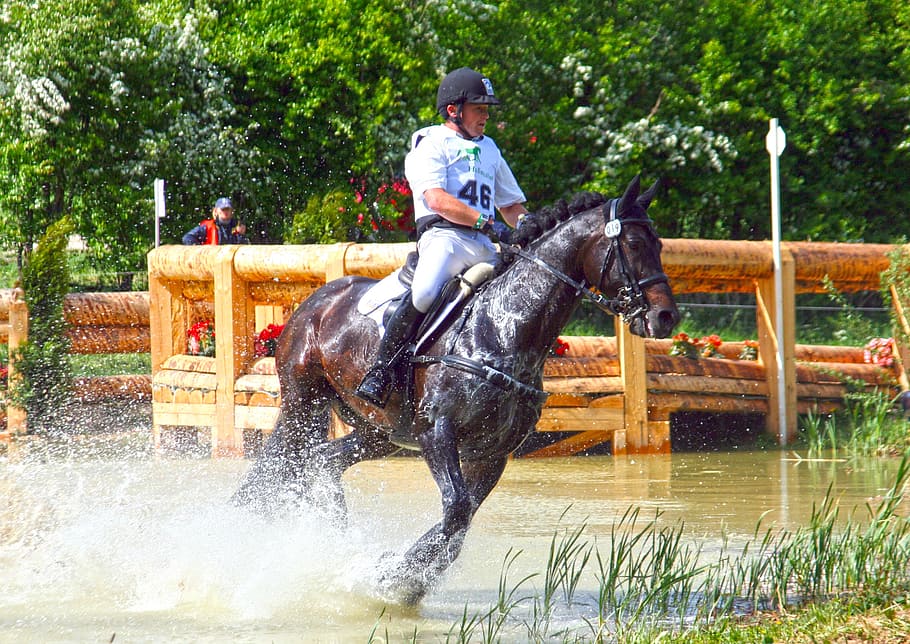 jockey on top of black horse while galloping above water at daytime, HD wallpaper