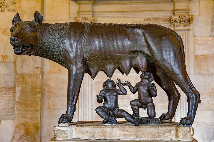she-wolf, rome, animal, sculpture, roman, italian, remus, romulus