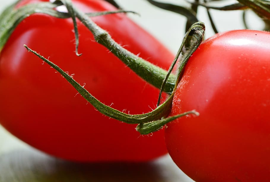 tomatoes, vegetables, macro, red, food, garden, healthy, market HD wallpaper