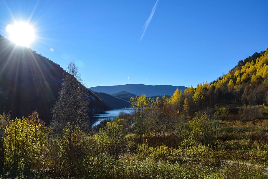 fall, autumn, sunny, sunlight, bright, weather, trees, mountains HD wallpaper