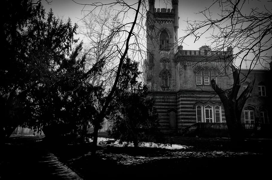 bw, architecture, odessa, built structure, tree, building exterior HD wallpaper