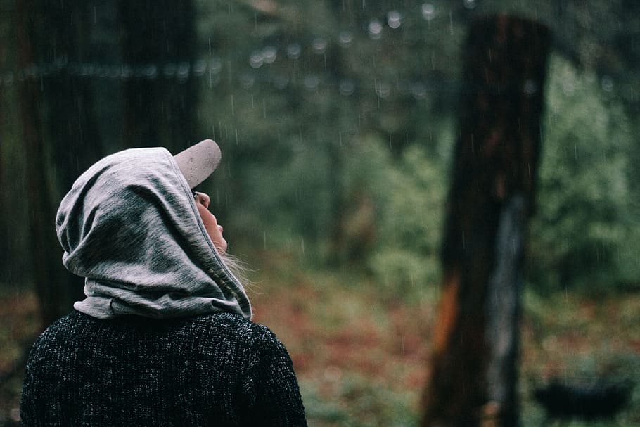 person looking at the rain drops, person staring on top of the tree HD wallpaper