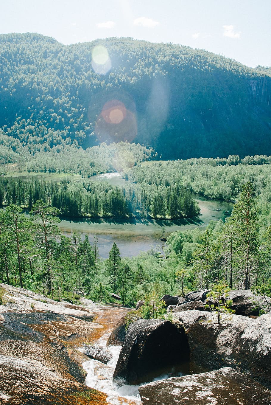 River valley, landscape, nature, forest, tree, mountain, water HD wallpaper