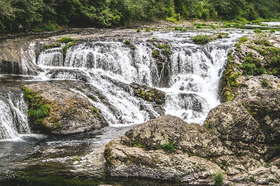 cascade, creek, environment, flow, forest, landscape, leaves HD wallpaper