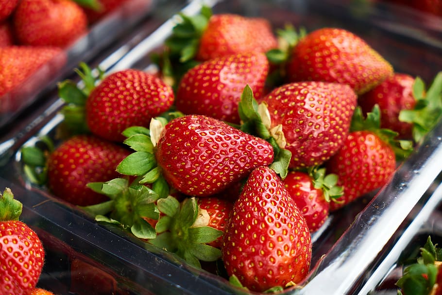strawberries on gray tray, strawberry, fruit, fresh, beautiful HD wallpaper