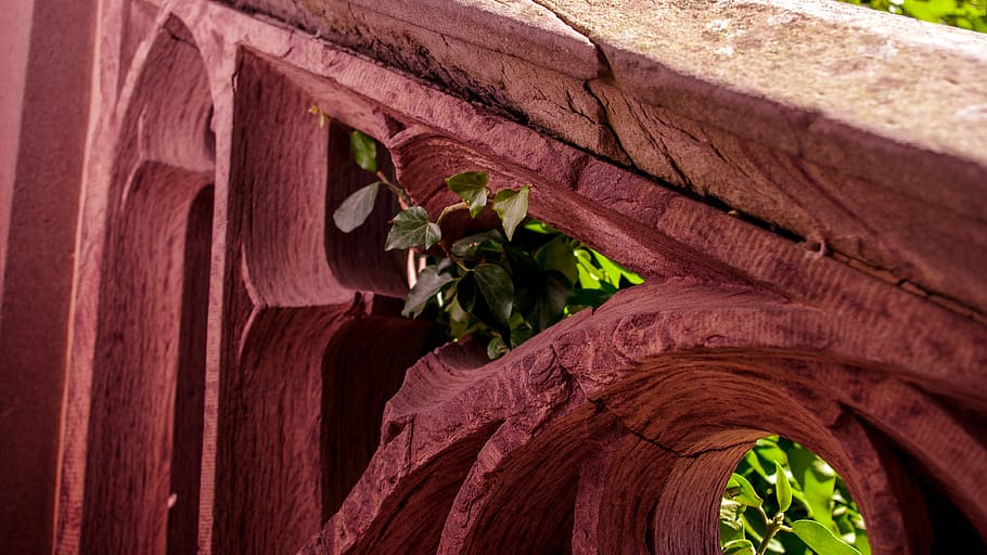 stone, architecture, plant, growth, no people, plant part, leaf HD wallpaper