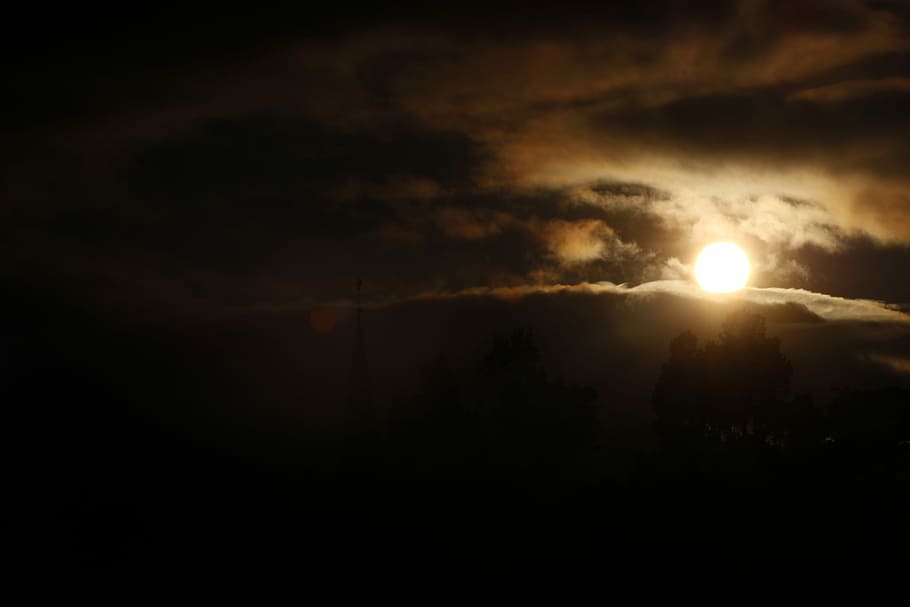 sunset glowing through the city, silhouette of trees during golden hour HD wallpaper