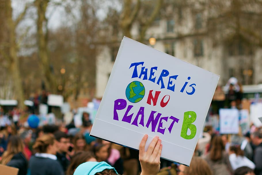 demonstration, london, activist, environmental, conflict, climate emergency, HD wallpaper