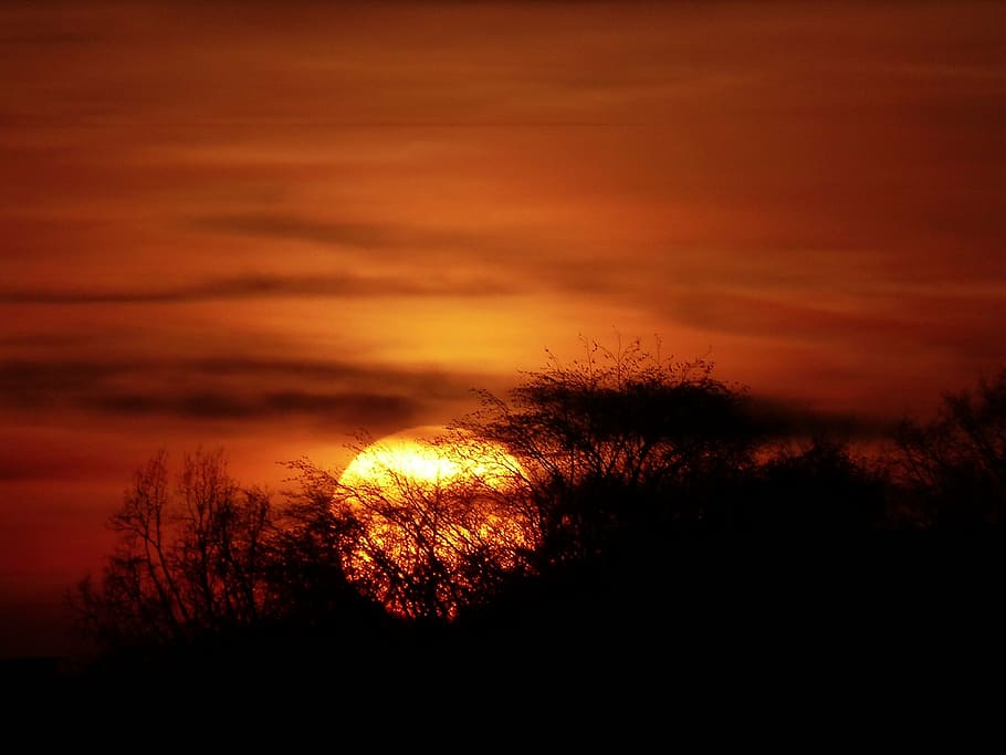 silhouette photo of sunset, abendstimmung, nature, scenics HD wallpaper