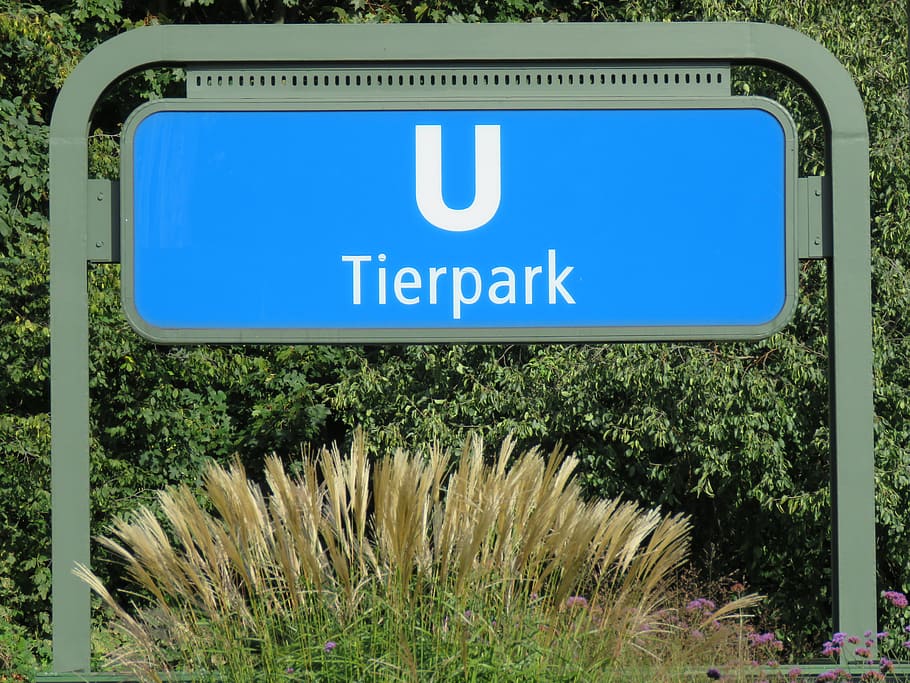 zoo, berlin, metro, u5, train, stop, station, bvg, transport HD wallpaper