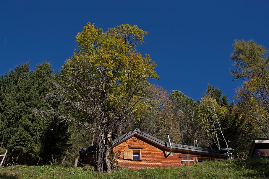 Hd Wallpaper Alpine Hut Facade Cladding Shingle Log Cabin