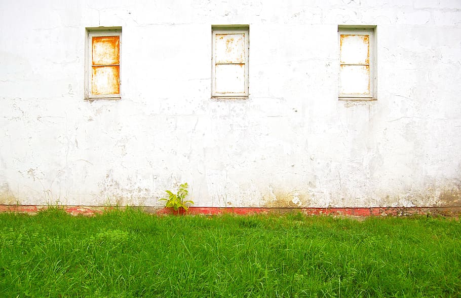 wall, window, grass, architecture, building, architecture design HD wallpaper