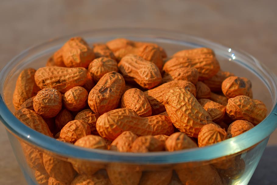 groundnuts, peanuts, snack, food, food and drink, bowl, freshness HD wallpaper