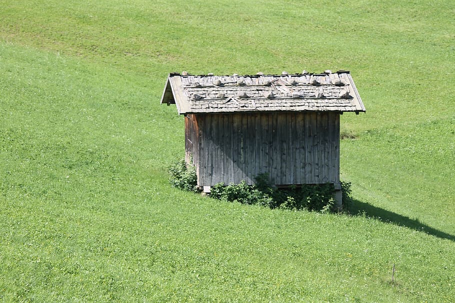 baita, log cabin, grass, green, mountain, hut, plant, green color, HD wallpaper