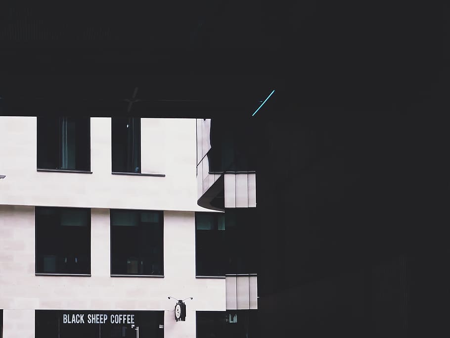 black sheep coffee, white, concrete, building, window, minimal HD wallpaper