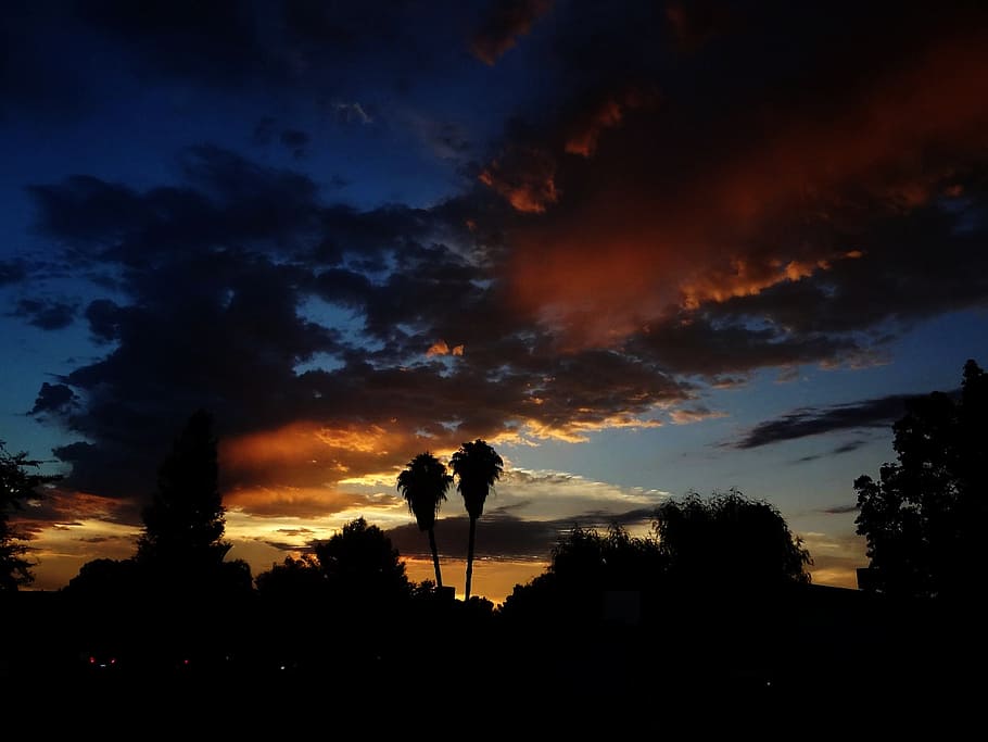 sunset, horizon, clouds, palm trees, neighborhood, heavens HD wallpaper