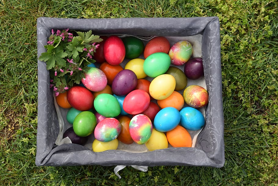 easter, eggs, food, food and drink, multi colored, container, HD wallpaper
