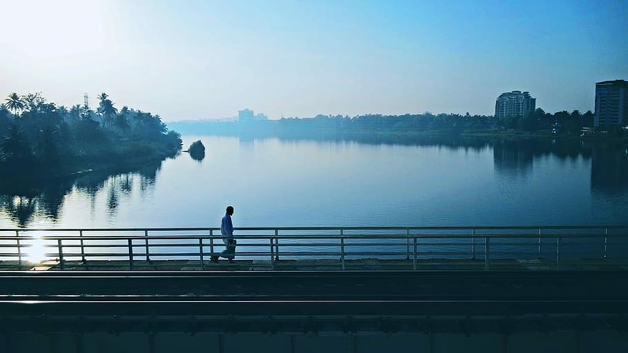 person walking on bridge near body of water, man walking on bridge between tress near highrise building HD wallpaper