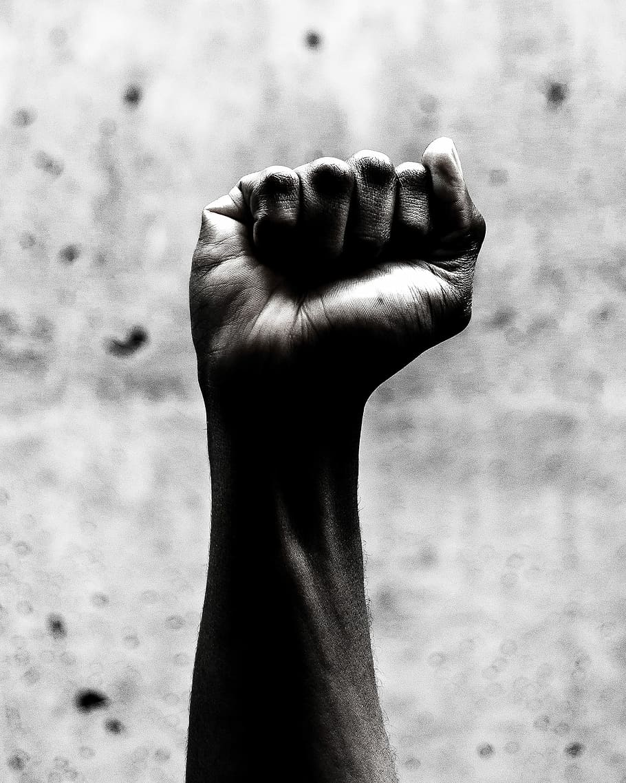 person's right fist grayscale photography, grayscale photo of right person's fist HD wallpaper