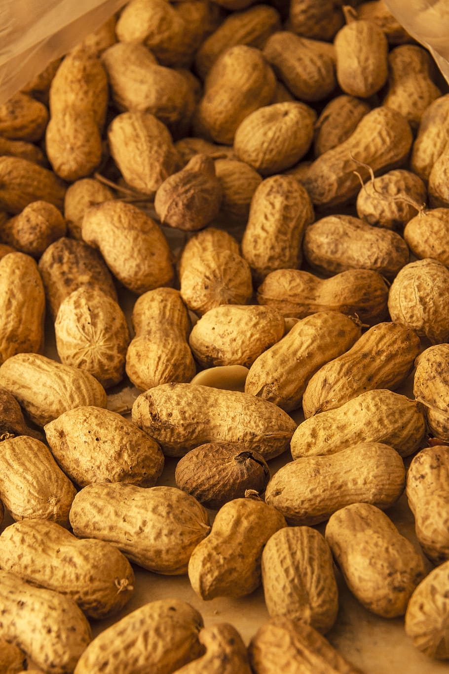 peanut, peanuts, dried fruit, doré, food, eat, picture, food and drink