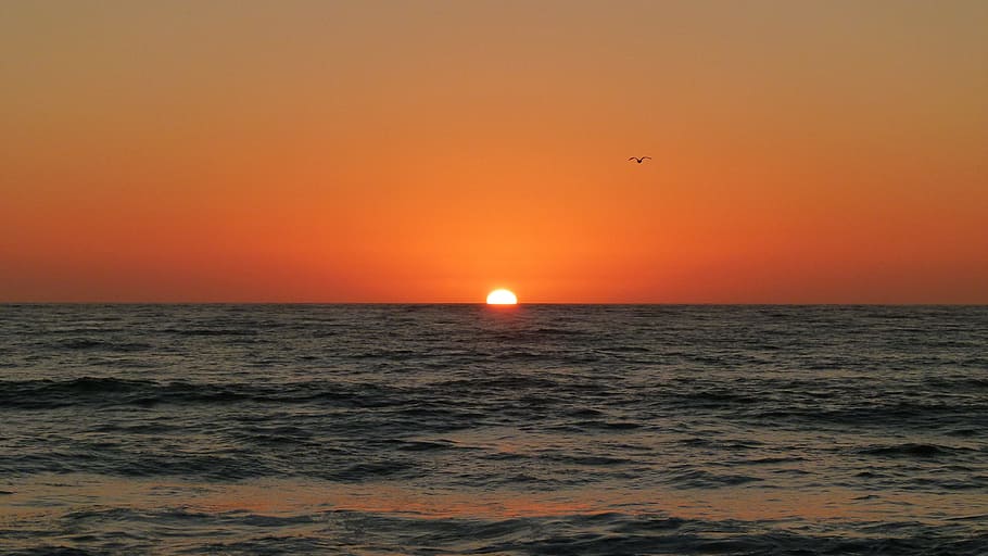 Sunset, Ocean Beach, Pacific, Ocean, Sky, water, holiday, sea HD wallpaper