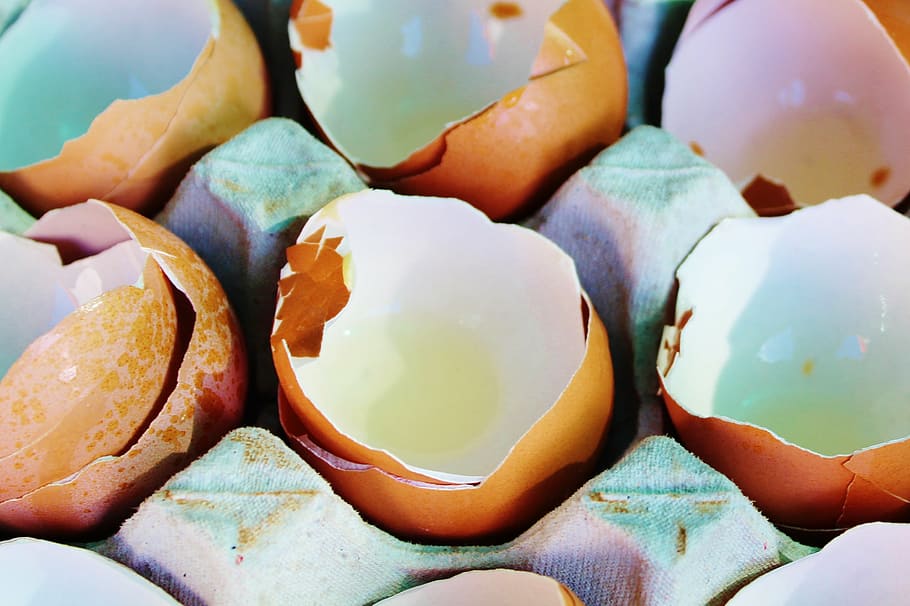 shallow focus photography of eggshells, egg board, hen's egg