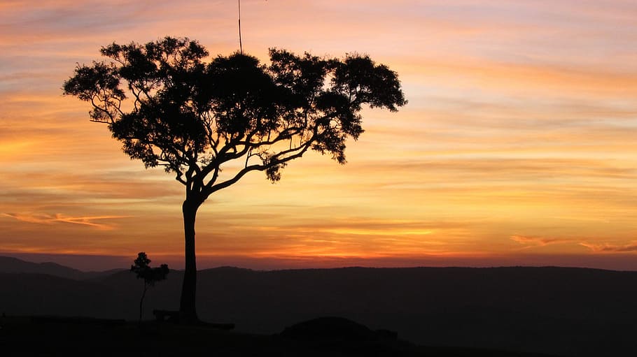 Sunset, Sol, Landscape, Eventide, Nature, tree, horizon, sky HD wallpaper