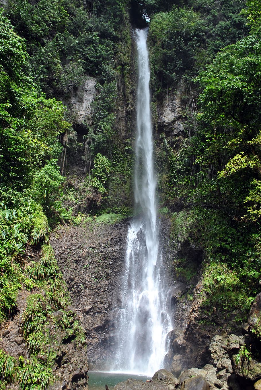 Dominica, Waterfall, Rainforest, Hiking, national park, tropical, HD wallpaper