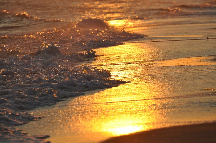 photo of shoreline, beach, sunset, ocean, waves, nature, sea HD wallpaper