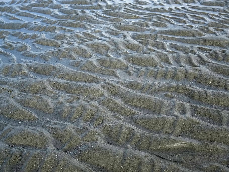 watts, sea, ebb, sand, nature, beach, backgrounds, pattern HD wallpaper