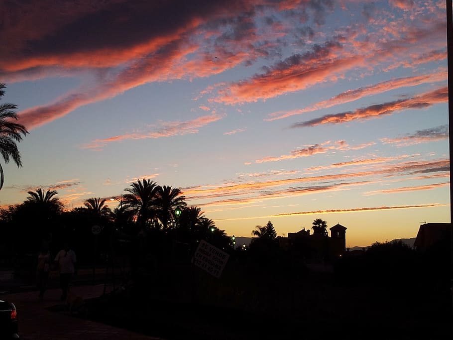heaven, cloudy, sunset, fire, icicle, palm Tree, dusk, sky HD wallpaper
