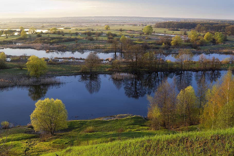 water, nature, no one, panoramic, plant, tranquil scene, scenics - nature HD wallpaper